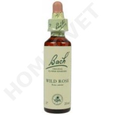 Bach Flower Remedies for Animals - Wild Rose